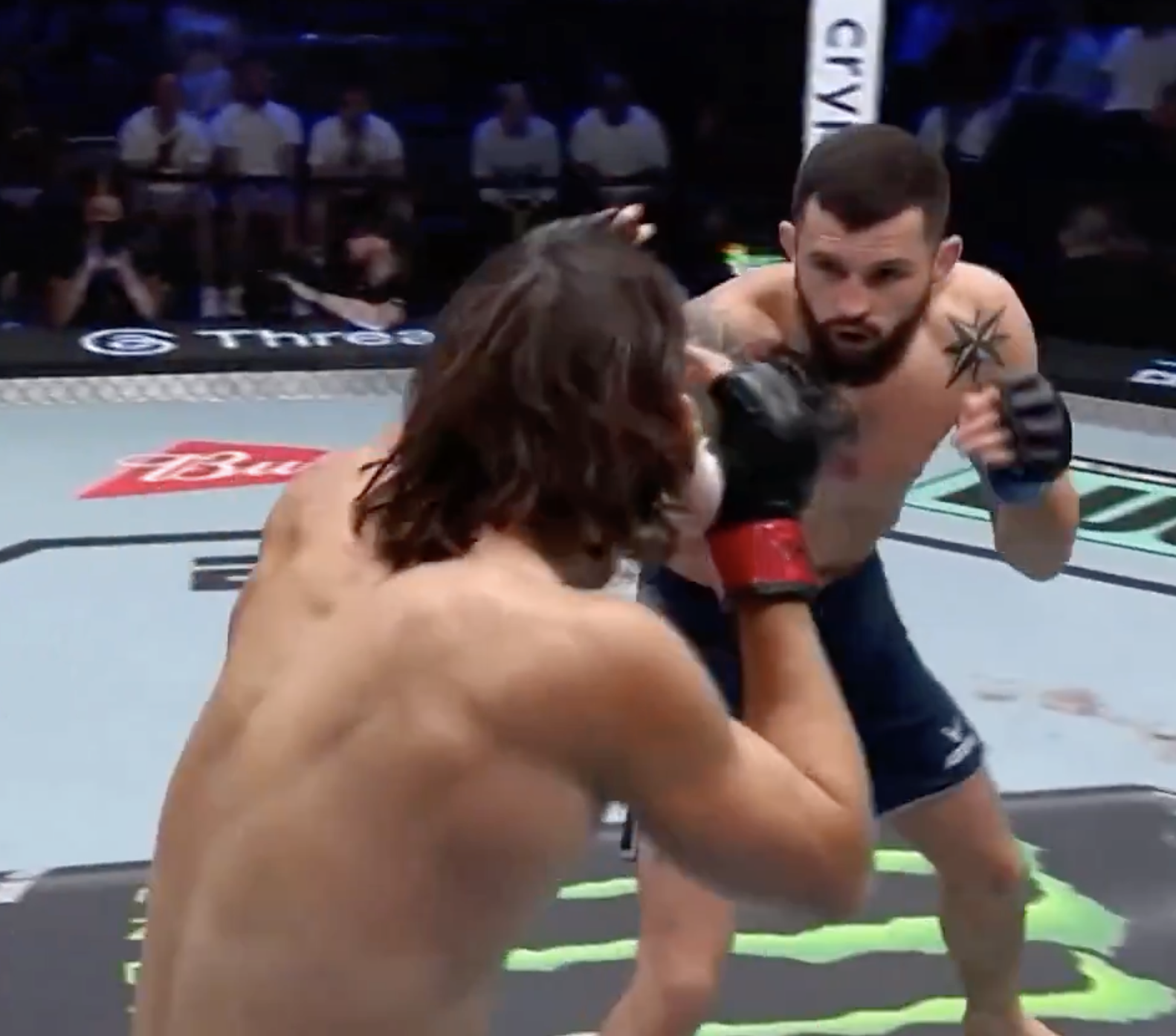 Obrazek wizualnie uzupełnia artykuł o walce Cezarego Oleksiejczuka w programie Dana White's Contender Series